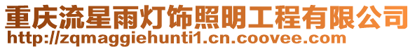 重慶流星雨燈飾照明工程有限公司