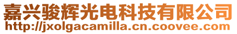 嘉興駿輝光電科技有限公司