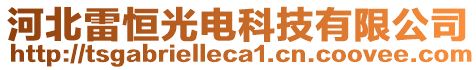 河北雷恒光電科技有限公司