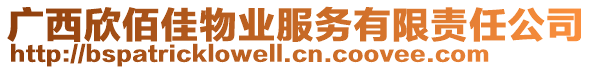廣西欣佰佳物業(yè)服務(wù)有限責(zé)任公司