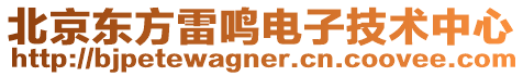 北京東方雷鳴電子技術中心