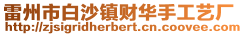 雷州市白沙鎮(zhèn)財(cái)華手工藝廠