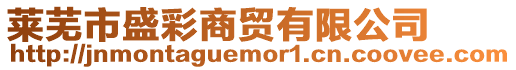 萊蕪市盛彩商貿有限公司