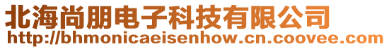 北海尚朋電子科技有限公司