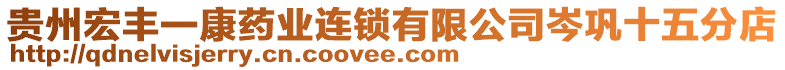 貴州宏豐一康藥業(yè)連鎖有限公司岑鞏十五分店