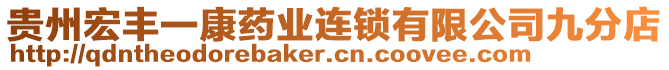 貴州宏豐一康藥業(yè)連鎖有限公司九分店