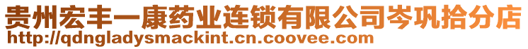 貴州宏豐一康藥業(yè)連鎖有限公司岑鞏拾分店