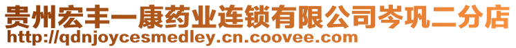 貴州宏豐一康藥業(yè)連鎖有限公司岑鞏二分店