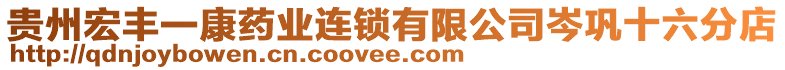 貴州宏豐一康藥業(yè)連鎖有限公司岑鞏十六分店