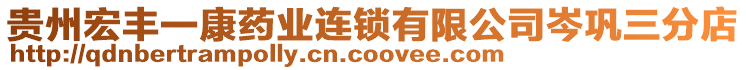 貴州宏豐一康藥業(yè)連鎖有限公司岑鞏三分店