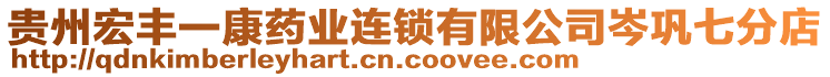 貴州宏豐一康藥業(yè)連鎖有限公司岑鞏七分店