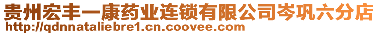 貴州宏豐一康藥業(yè)連鎖有限公司岑鞏六分店