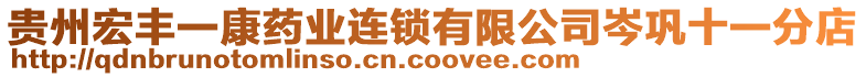 貴州宏豐一康藥業連鎖有限公司岑鞏十一分店