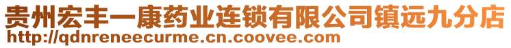 貴州宏豐一康藥業(yè)連鎖有限公司鎮(zhèn)遠九分店