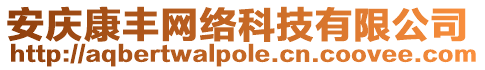 安慶康豐網(wǎng)絡(luò)科技有限公司