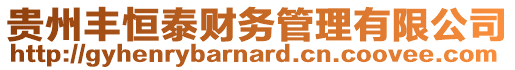 貴州豐恒泰財(cái)務(wù)管理有限公司