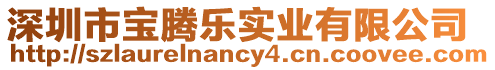 深圳市寶騰樂實業有限公司