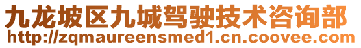 九龍坡區(qū)九城駕駛技術咨詢部