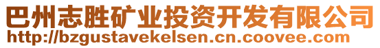 巴州志勝礦業(yè)投資開發(fā)有限公司