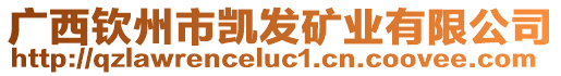 廣西欽州市凱發(fā)礦業(yè)有限公司