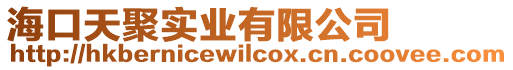 海口天聚實業有限公司