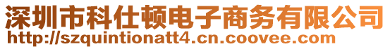 深圳市科仕頓電子商務(wù)有限公司