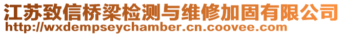 江蘇致信橋梁檢測與維修加固有限公司