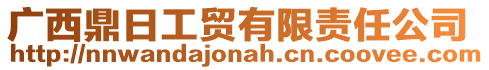 廣西鼎日工貿有限責任公司