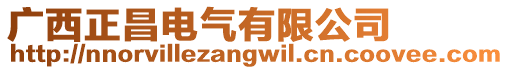 廣西正昌電氣有限公司