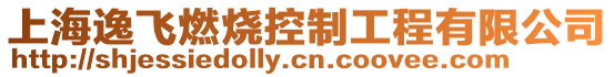 上海逸飛燃燒控制工程有限公司
