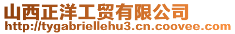 山西正洋工貿有限公司