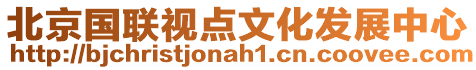 北京國聯(lián)視點(diǎn)文化發(fā)展中心