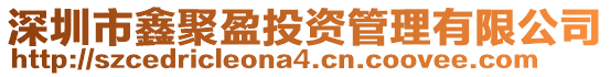 深圳市鑫聚盈投資管理有限公司