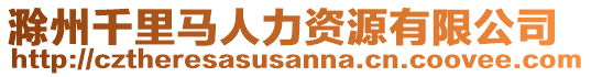 滁州千里馬人力資源有限公司
