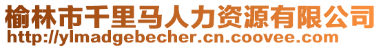 榆林市千里馬人力資源有限公司