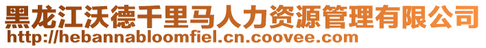 黑龍江沃德千里馬人力資源管理有限公司