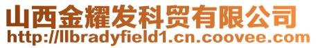 山西金耀發科貿有限公司