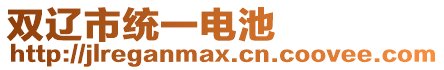 雙遼市統一電池
