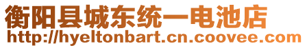 衡陽縣城東統一電池店