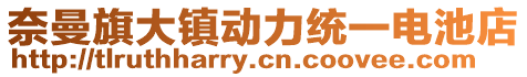 奈曼旗大鎮(zhèn)動(dòng)力統(tǒng)一電池店