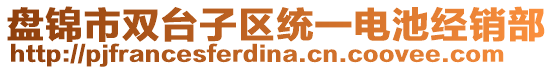 盤錦市雙臺子區(qū)統(tǒng)一電池經(jīng)銷部