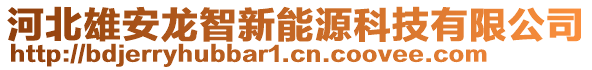 河北雄安龍智新能源科技有限公司