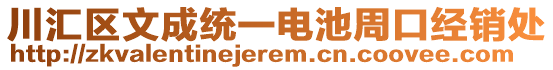 川匯區(qū)文成統(tǒng)一電池周口經(jīng)銷處