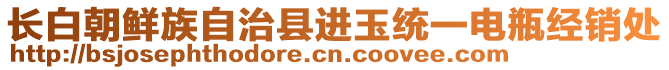 長(zhǎng)白朝鮮族自治縣進(jìn)玉統(tǒng)一電瓶經(jīng)銷處