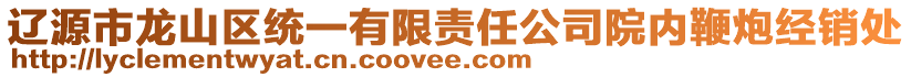 遼源市龍山區(qū)統(tǒng)一有限責(zé)任公司院內(nèi)鞭炮經(jīng)銷處