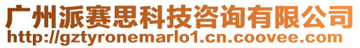 廣州派賽思科技咨詢有限公司