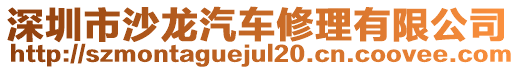 深圳市沙龍汽車修理有限公司