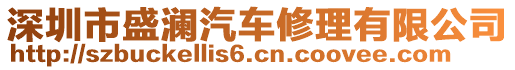 深圳市盛瀾汽車修理有限公司