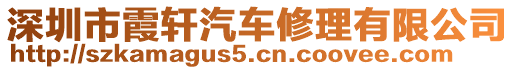 深圳市霞軒汽車修理有限公司