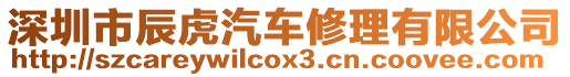深圳市辰虎汽車修理有限公司